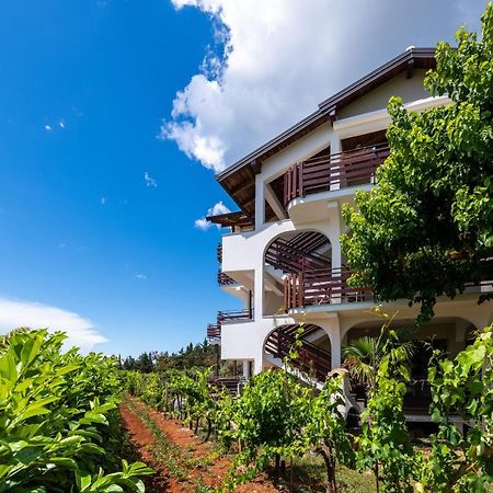Apartman Petelin Novigrad Istria Kültér fotó